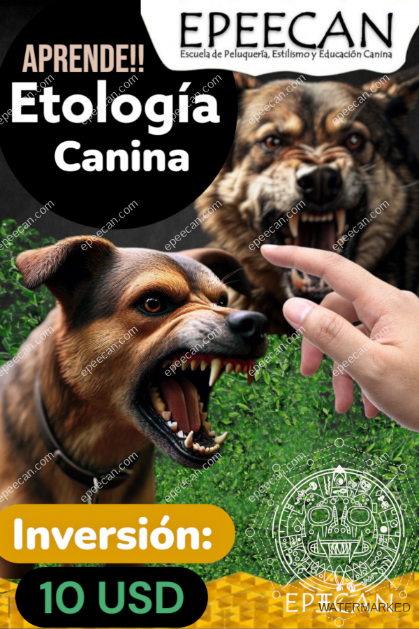 Curso de Psicología Canina para Groomers